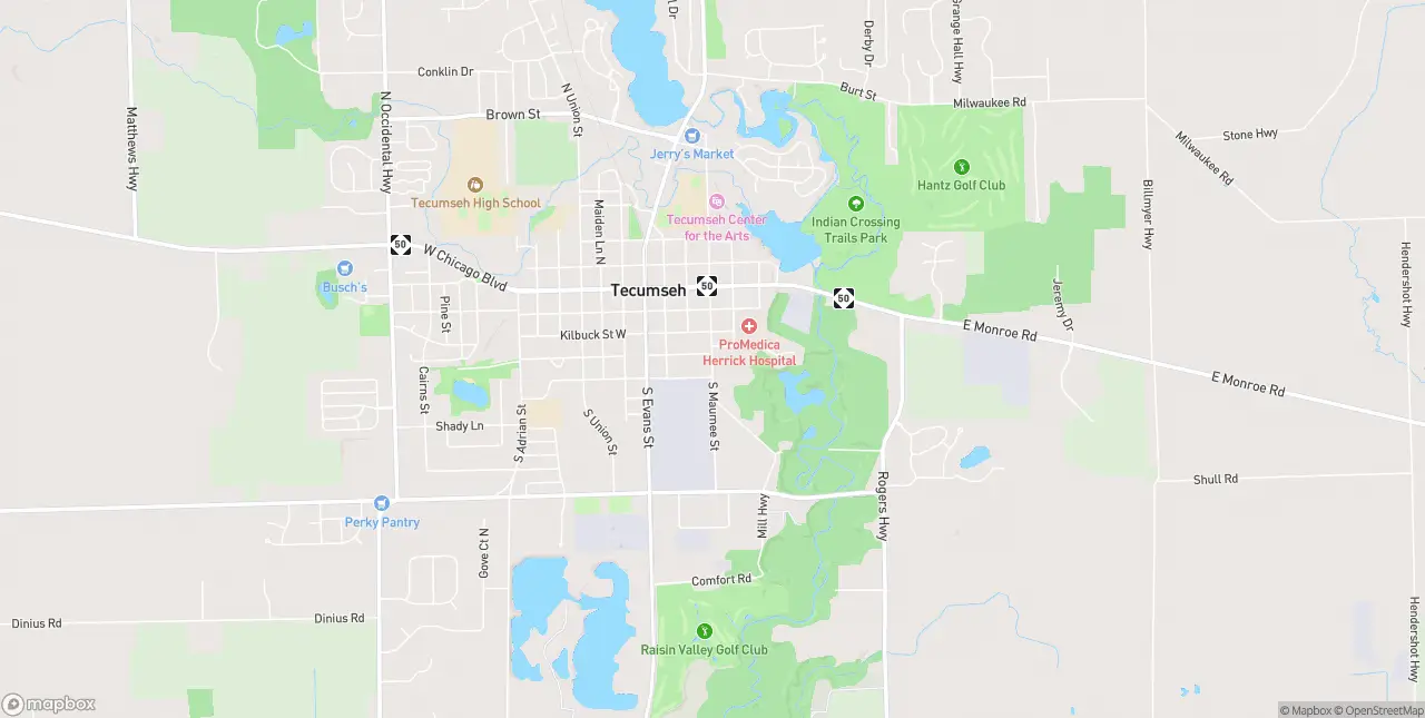 Internet in Tecumseh