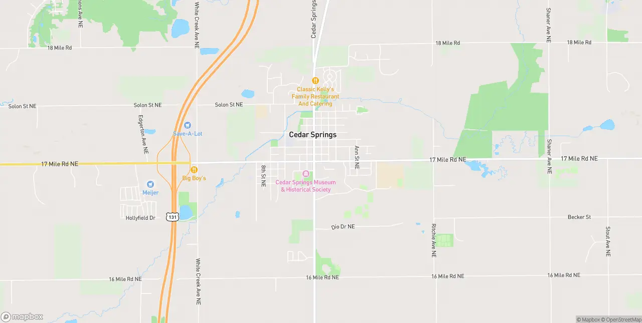 Internet in Cedar Springs