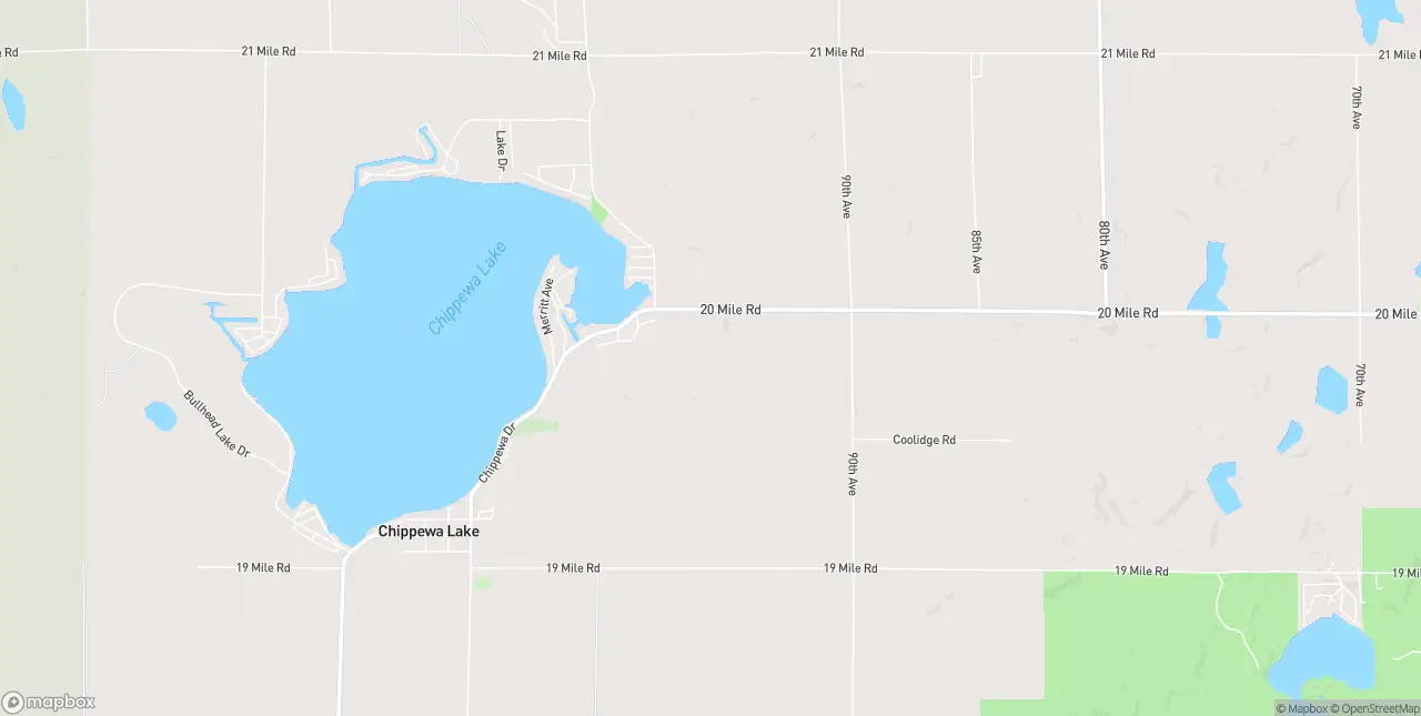 Internet in Chippewa Lake