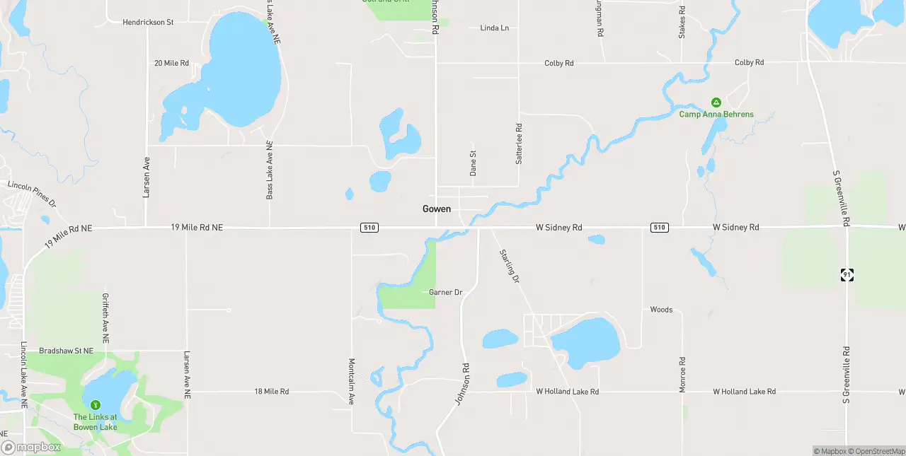 Internet in Gowen