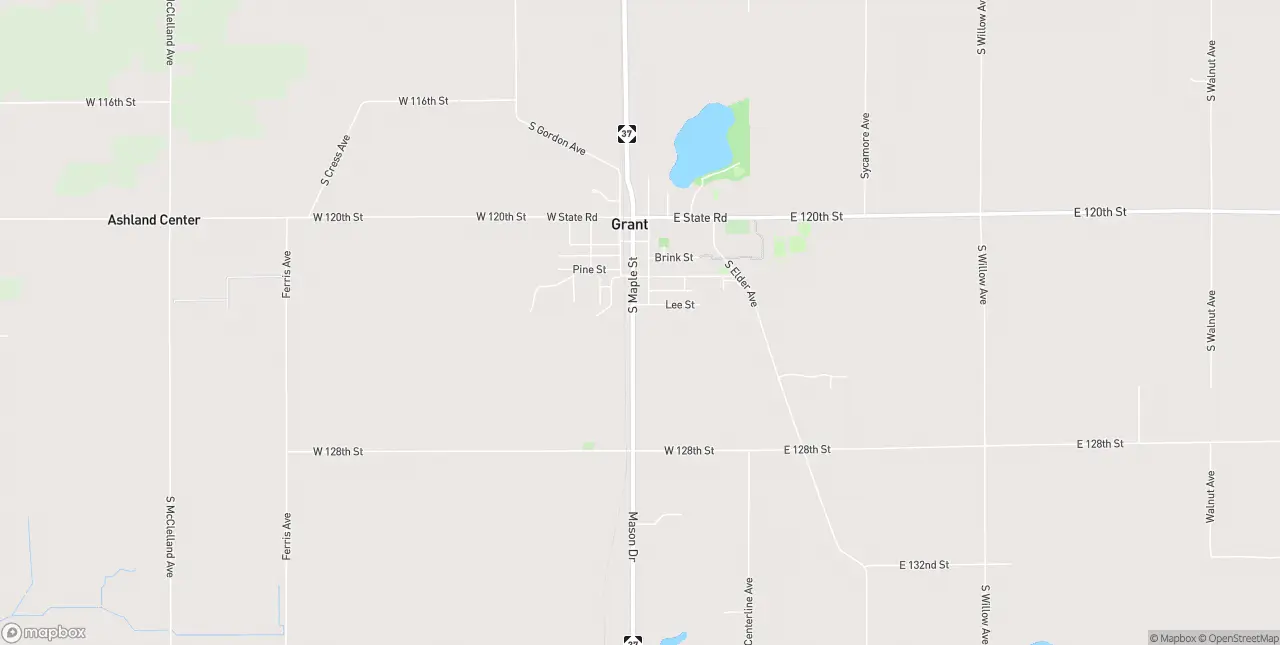 Internet in Grant