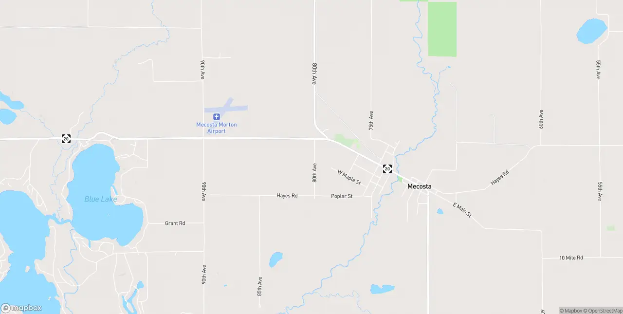 Internet in Mecosta