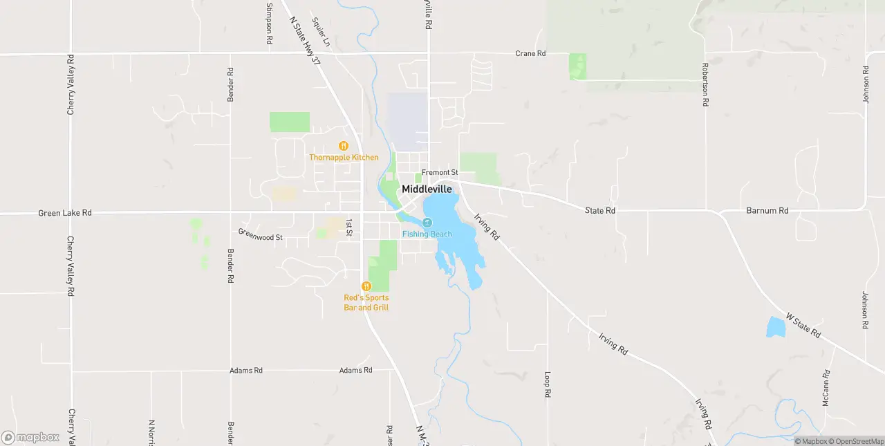 Internet in Middleville
