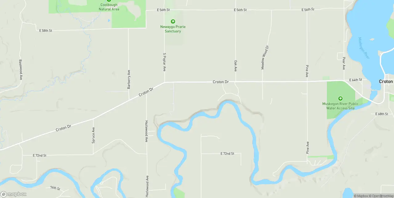 Internet in Newaygo