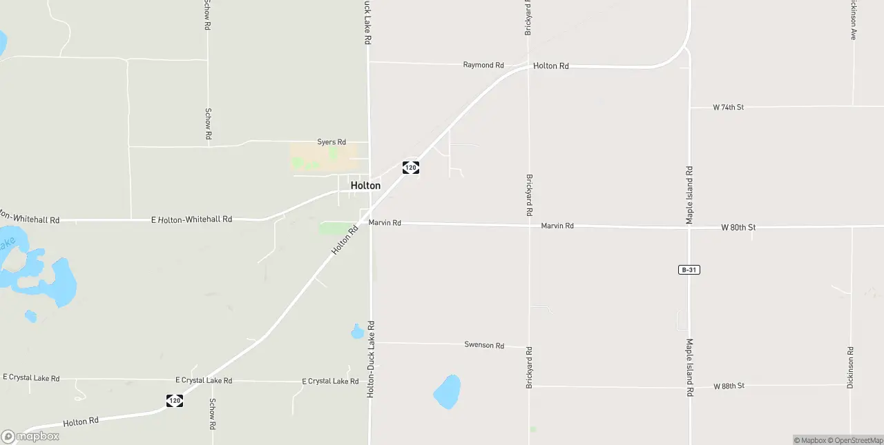 Internet in Holton