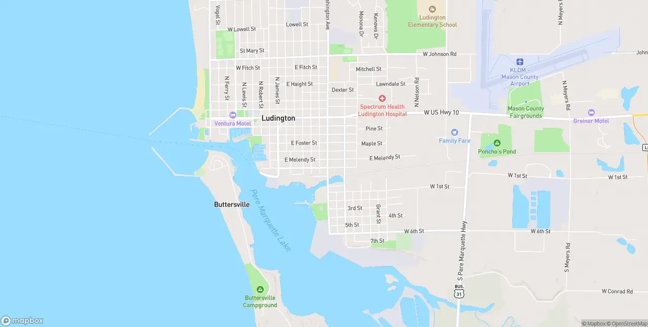 Internet in Ludington