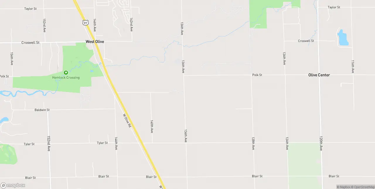 Internet in West Olive