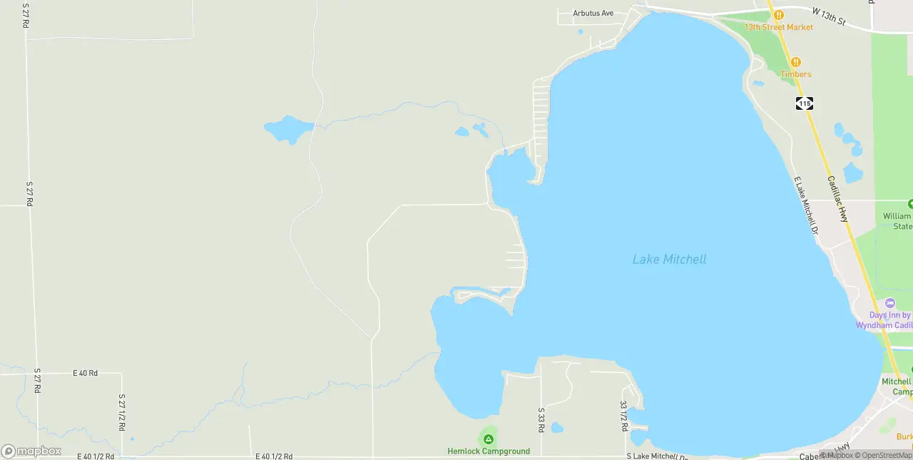 Internet in Cadillac