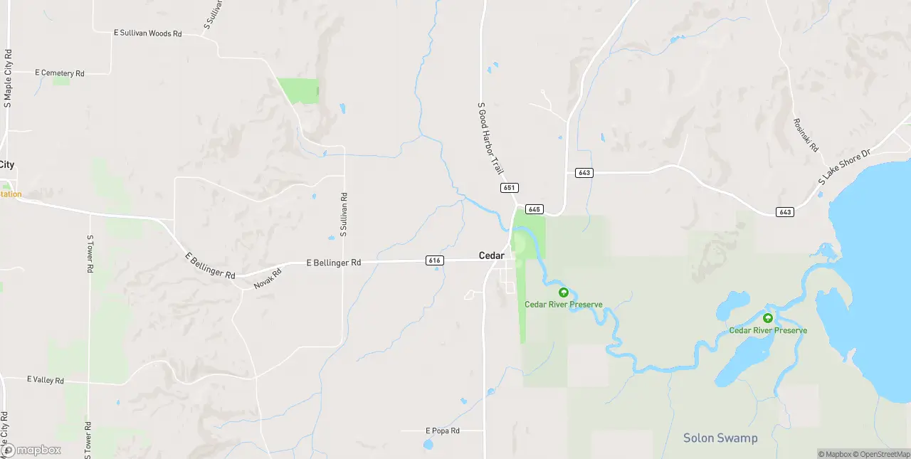 Internet in Cedar