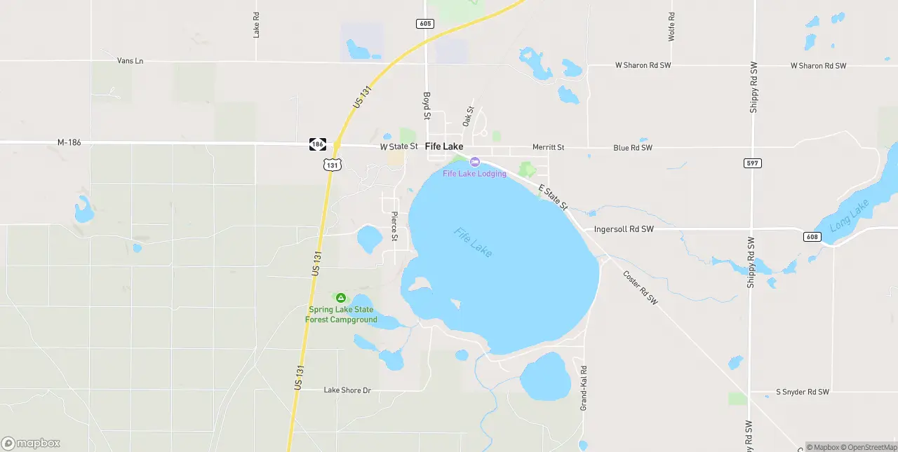 Internet in Fife Lake