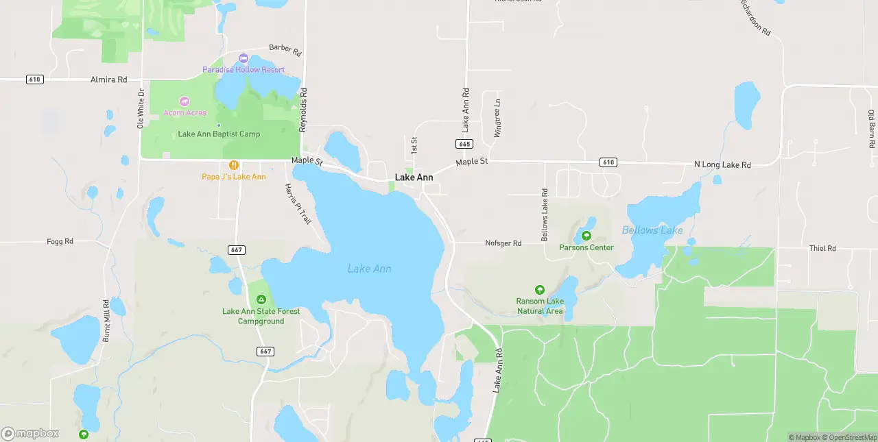 Internet in Lake Ann