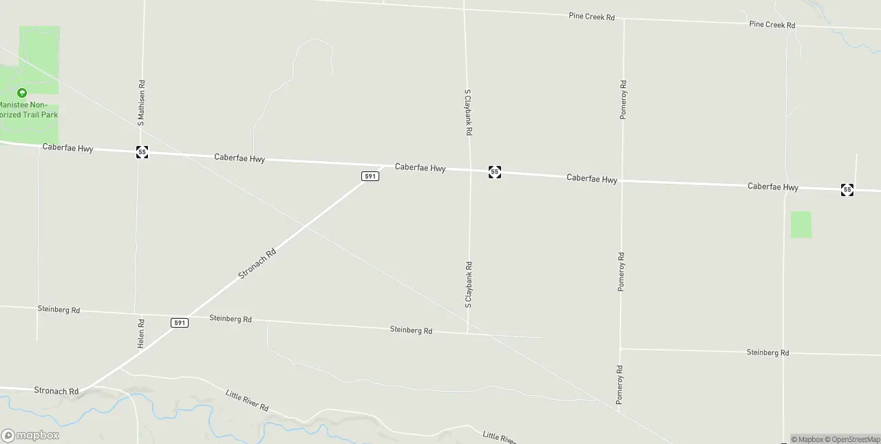 Internet in Manistee