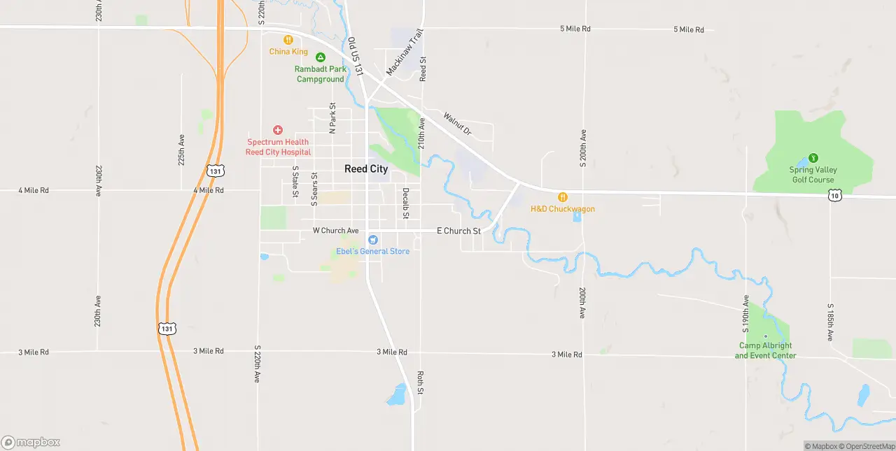 Internet in Reed City