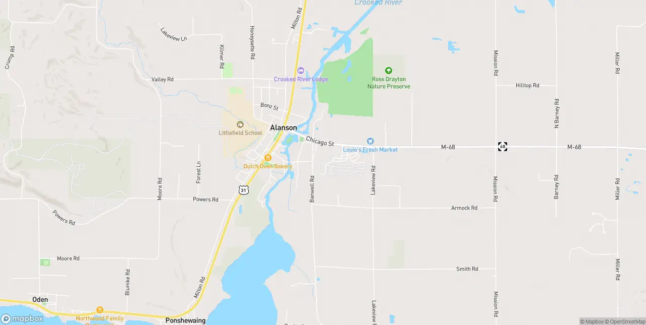 Internet in Alanson