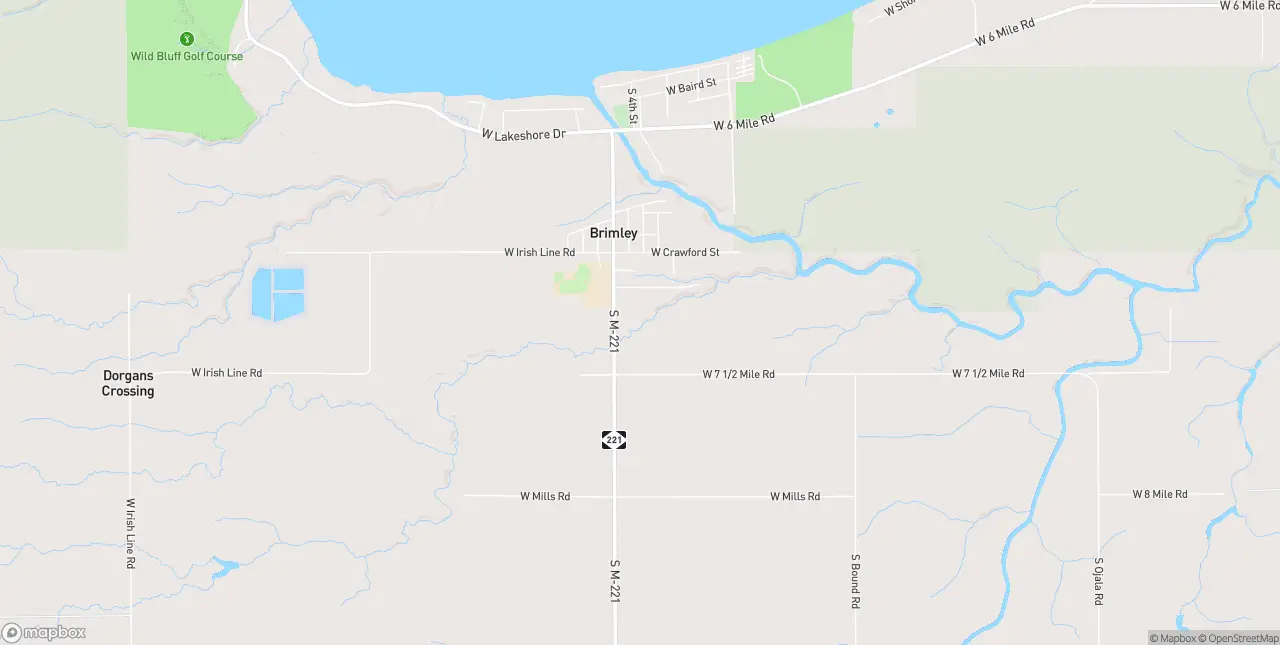 Internet in Brimley