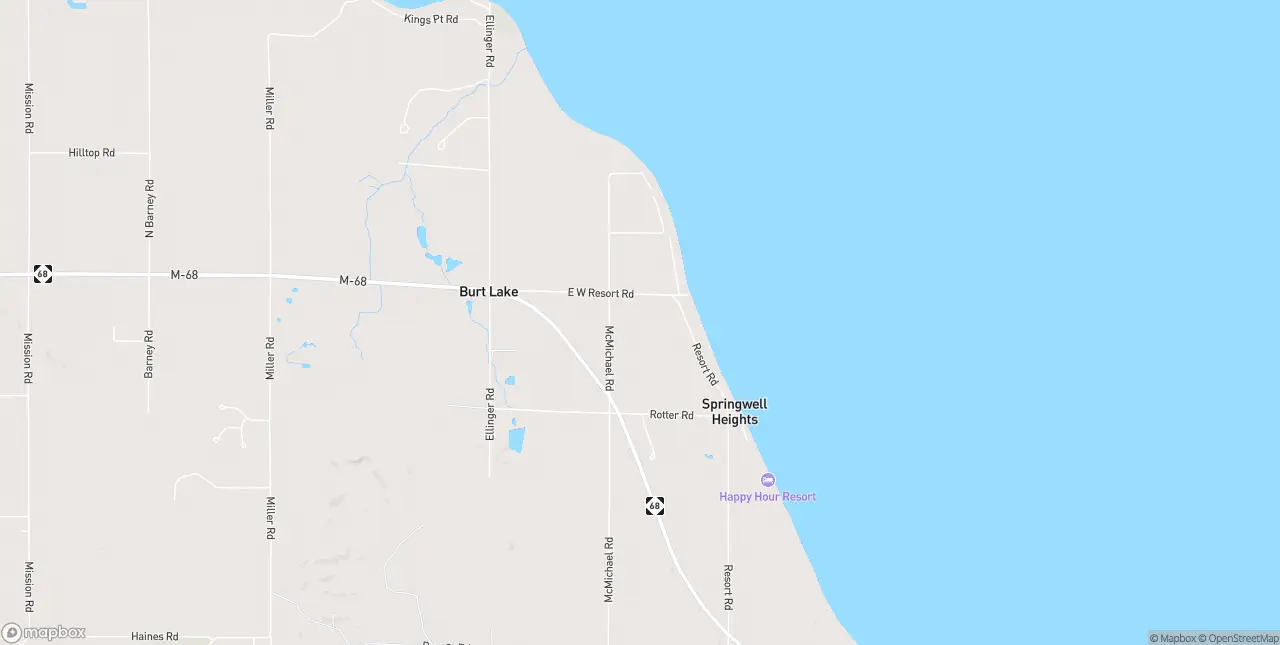 Internet in Burt Lake