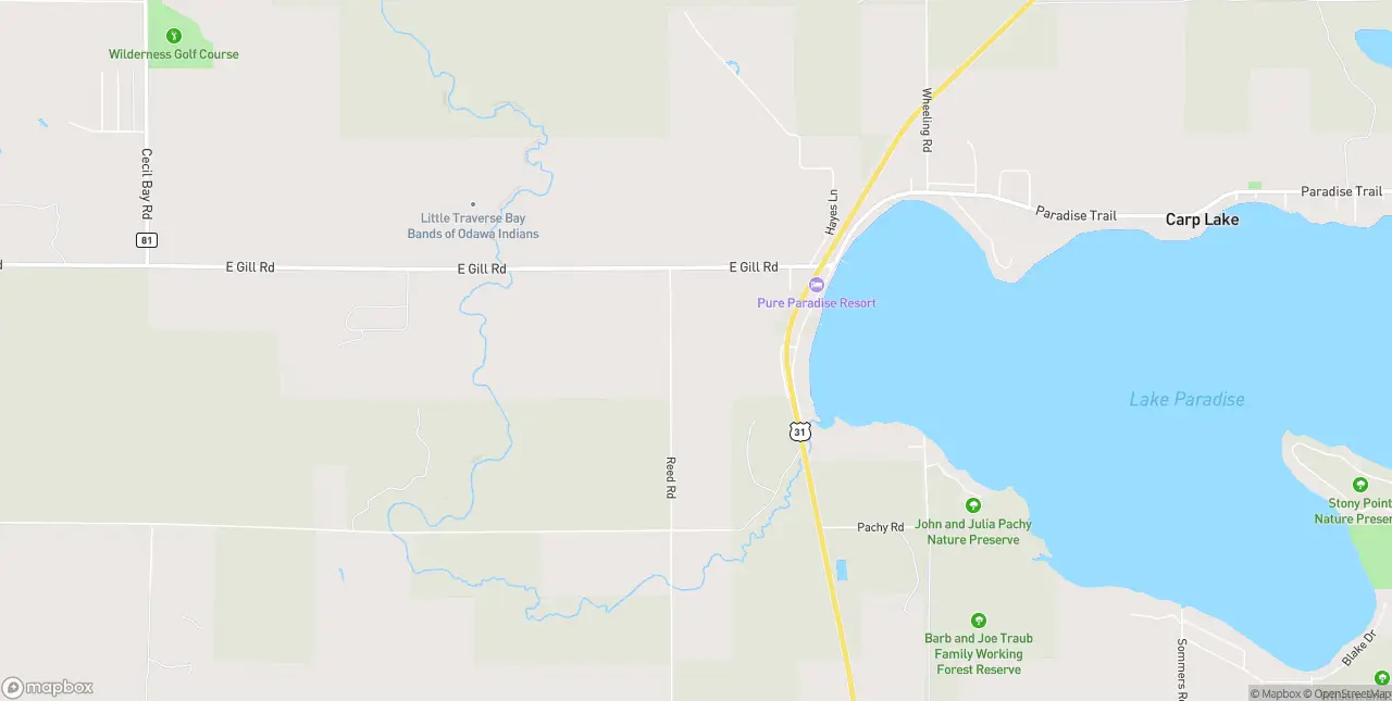 Internet in Carp Lake