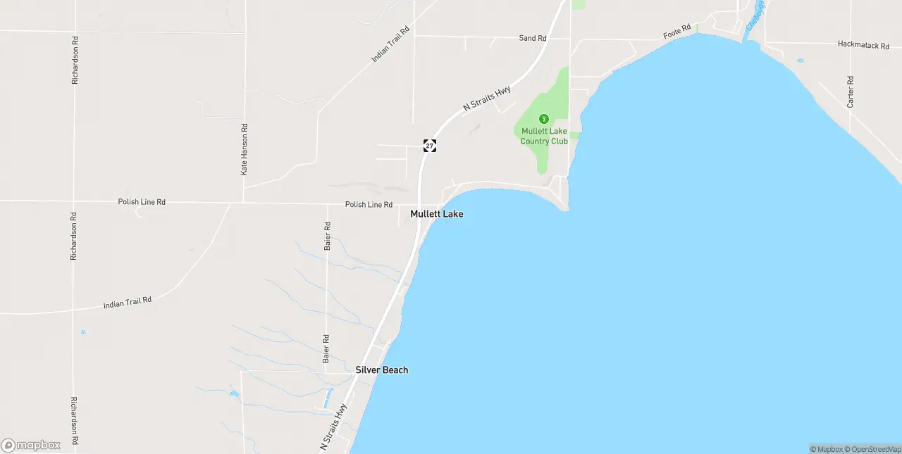 Internet in Mullett Lake