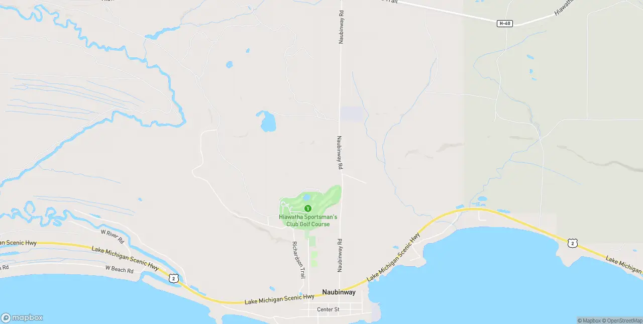 Internet in Naubinway