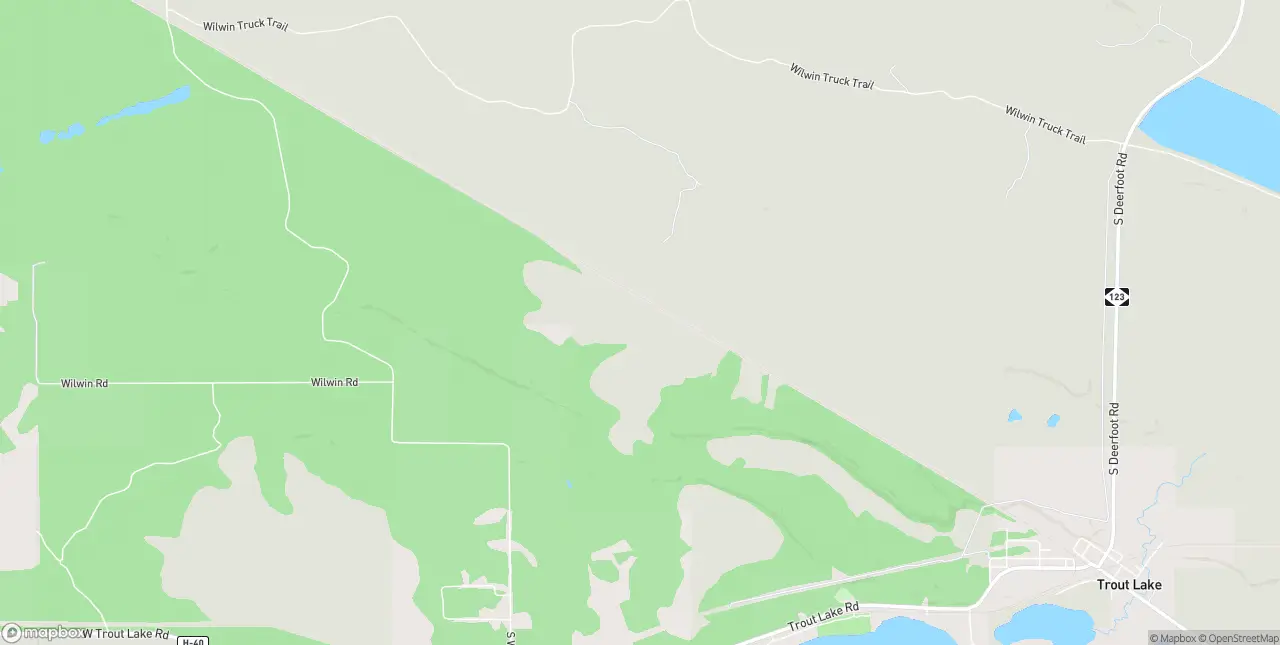 Internet in Trout Lake