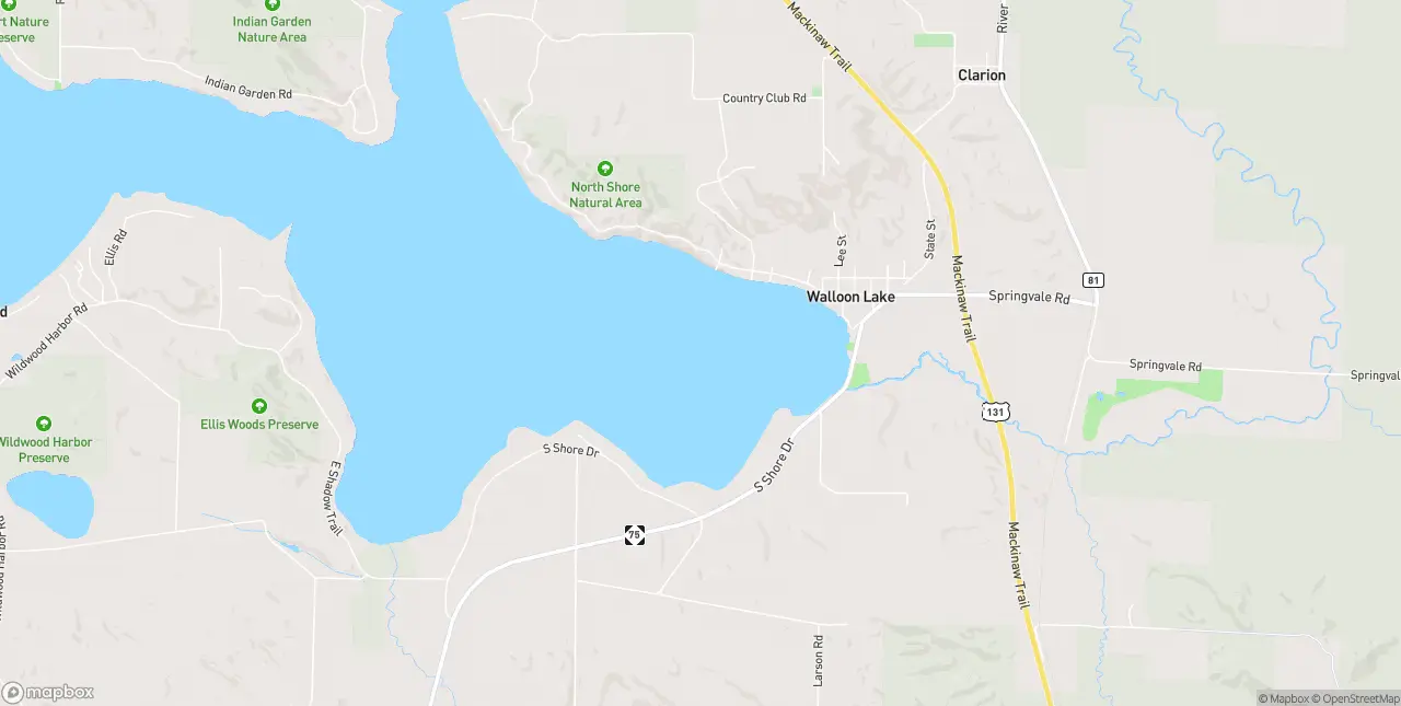 Internet in Walloon Lake
