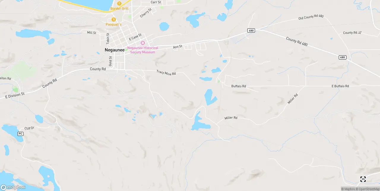 Internet in Negaunee