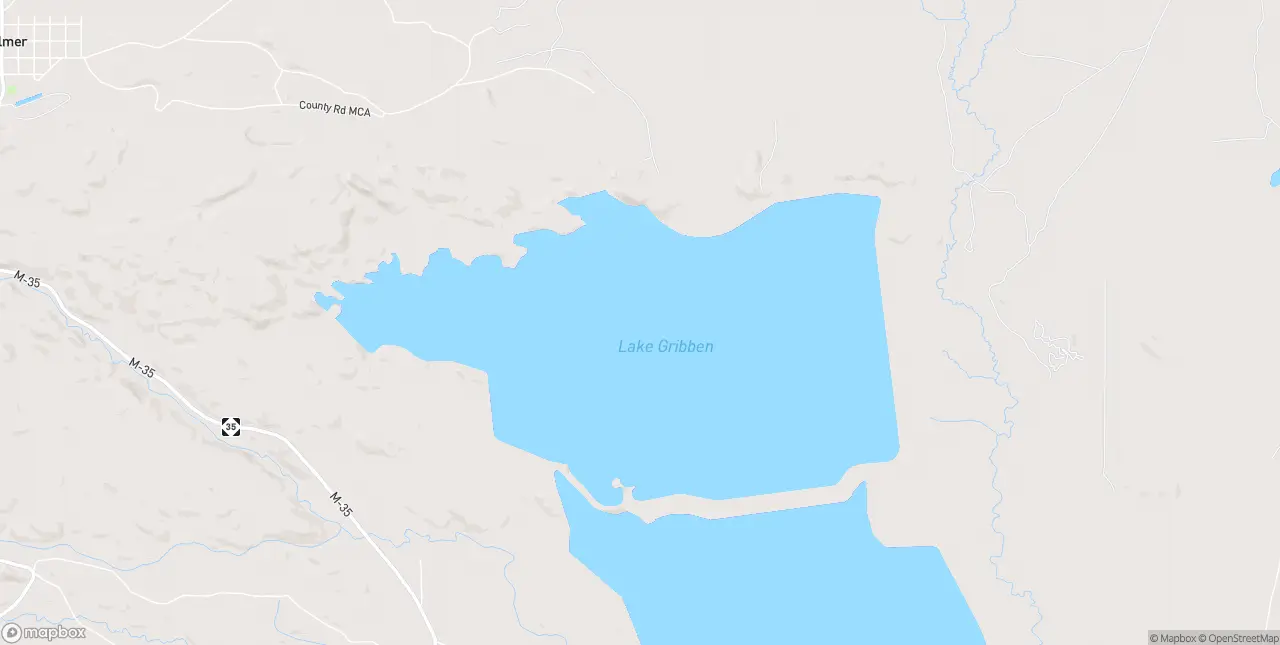 Internet in Palmer