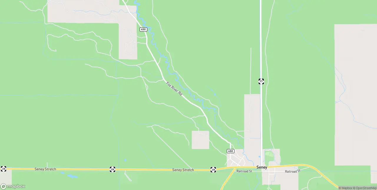 Internet in Seney