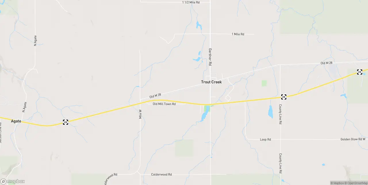 Internet in Trout Creek