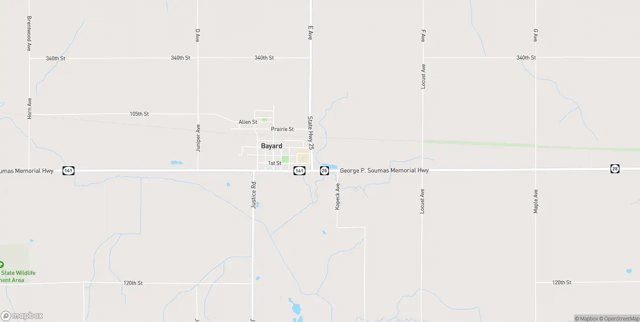 Internet in Bayard