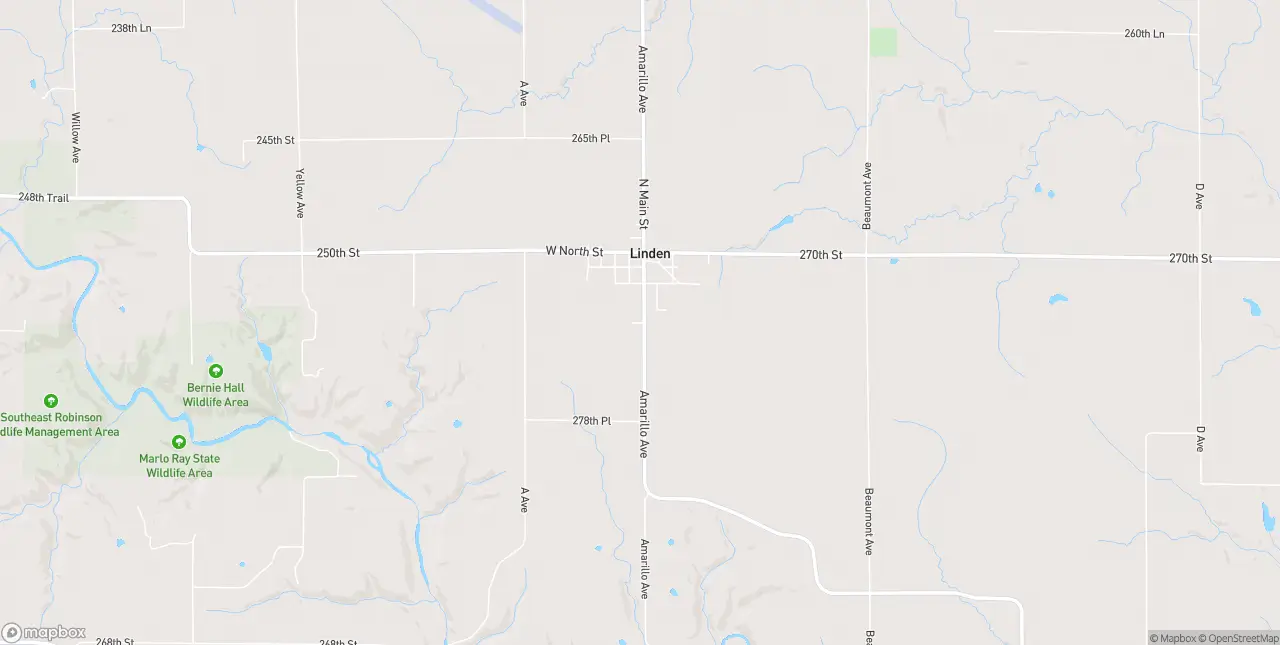 Internet in Linden