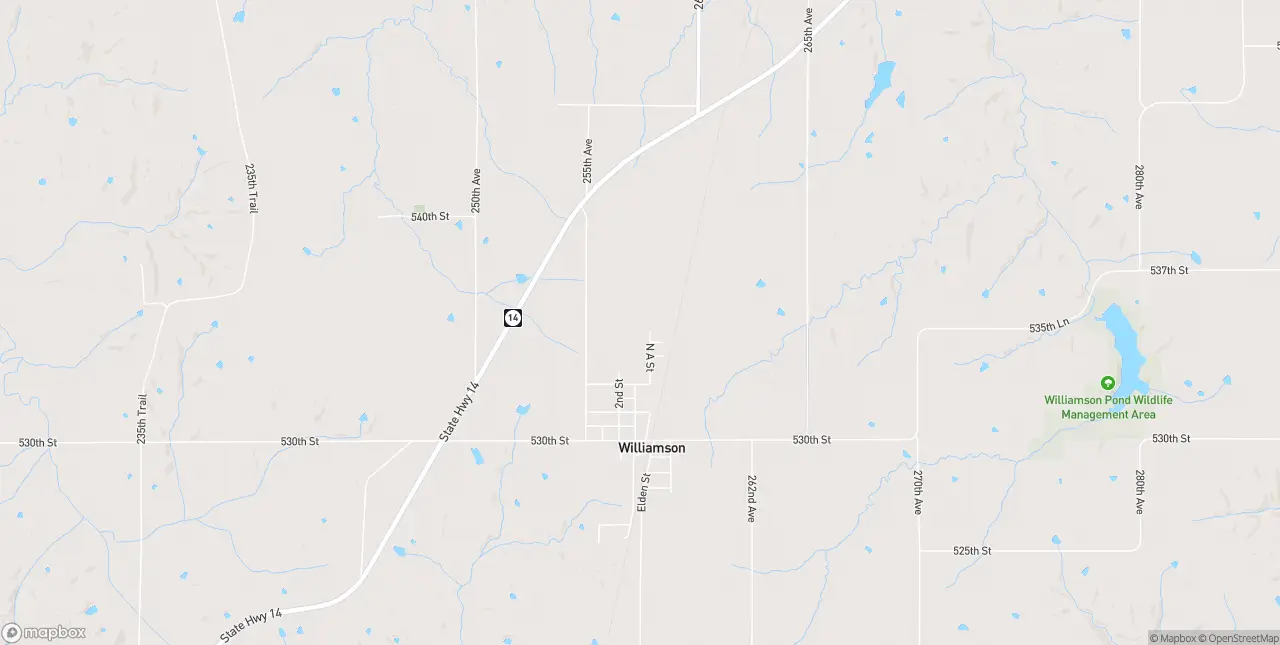 Internet in Williamson