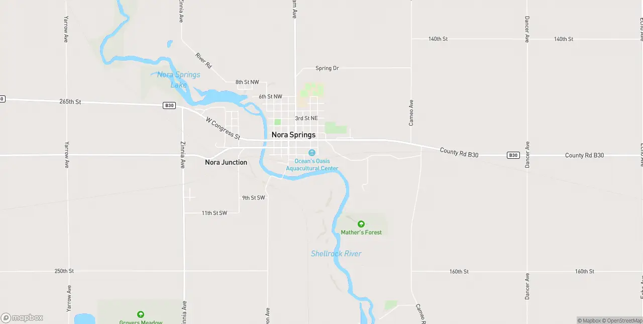 Internet in Nora Springs