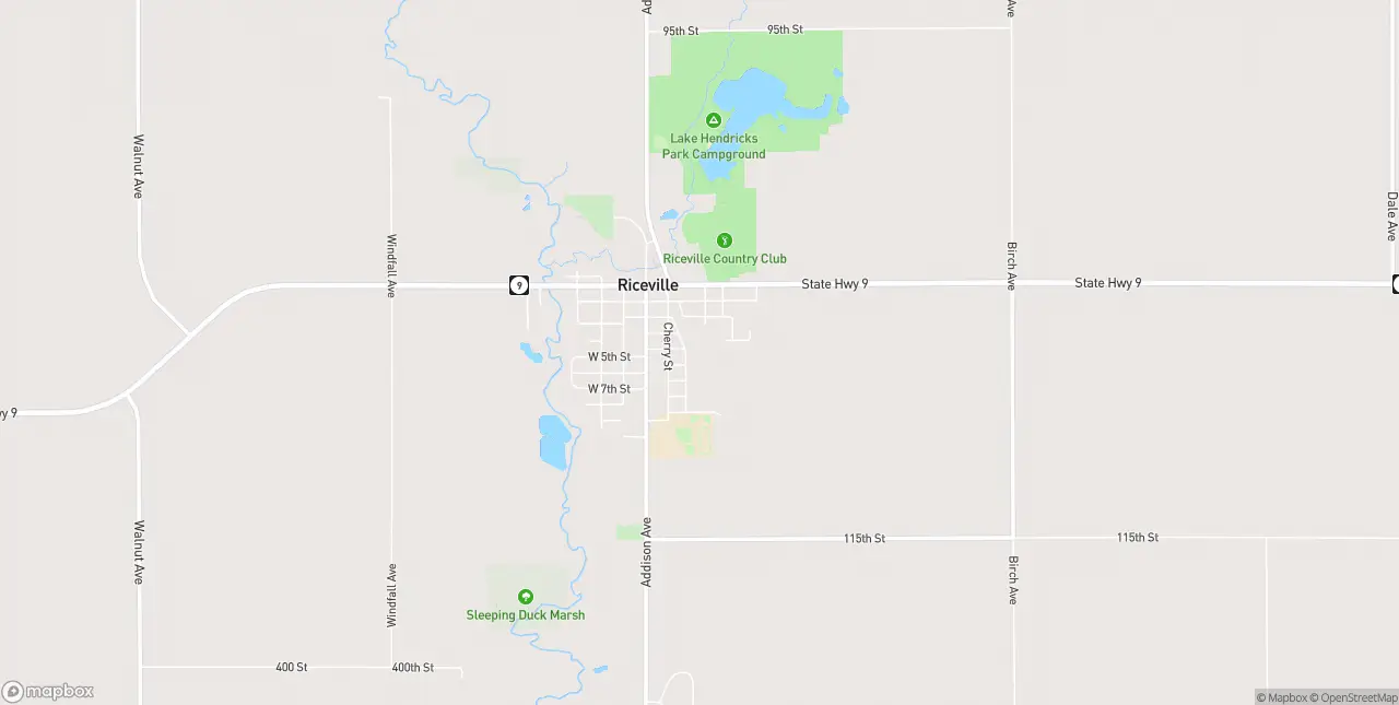 Internet in Riceville