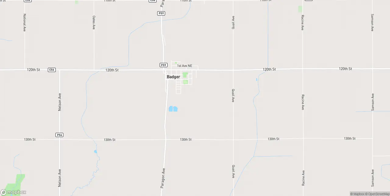 Internet in Badger