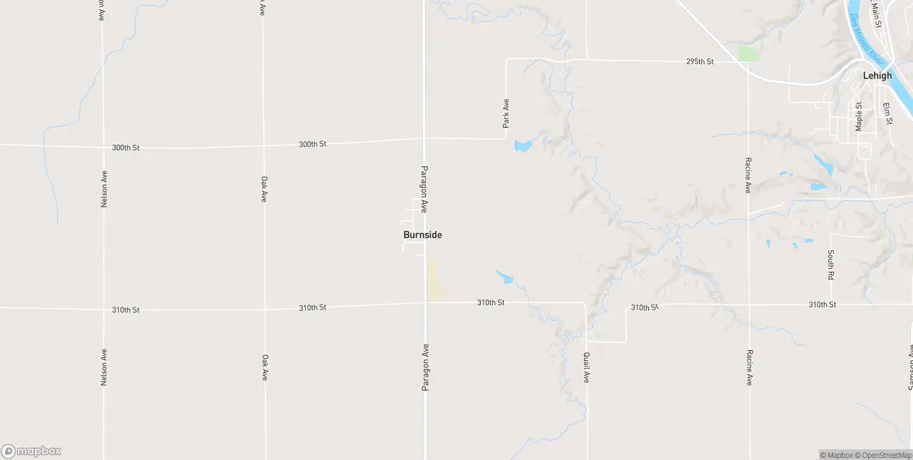 Internet in Burnside