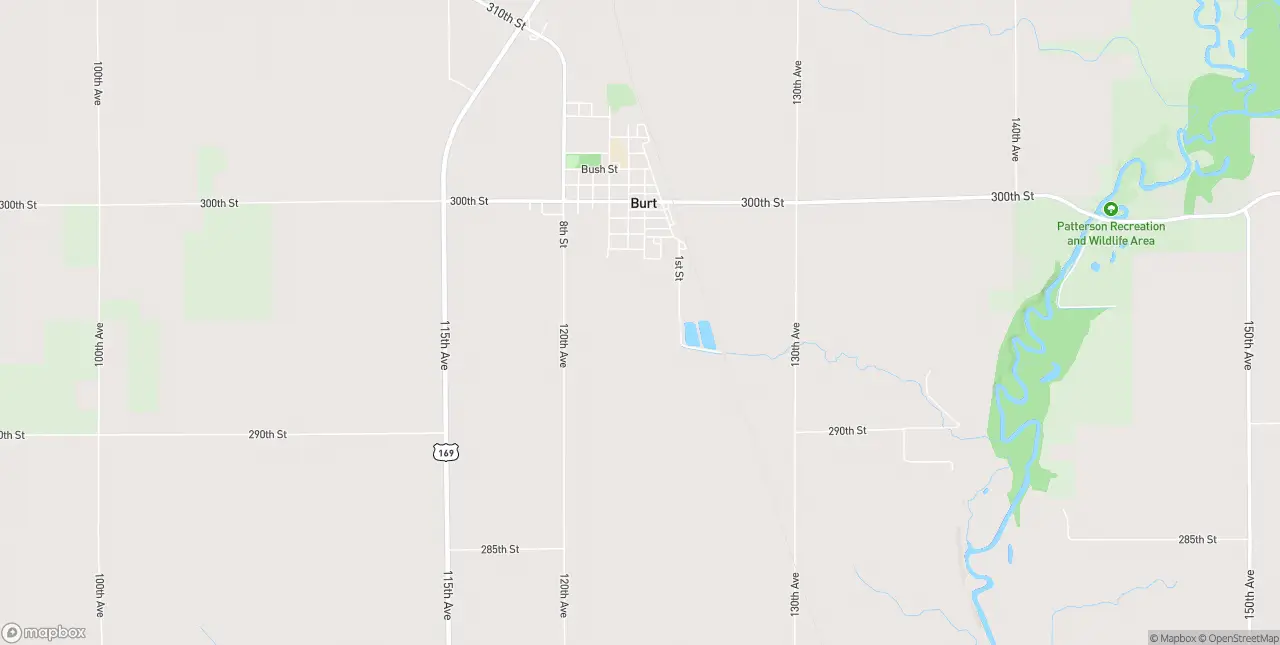 Internet in Burt