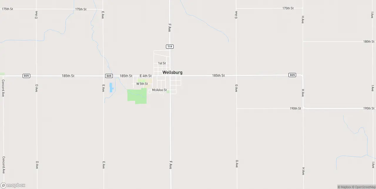 Internet in Wellsburg