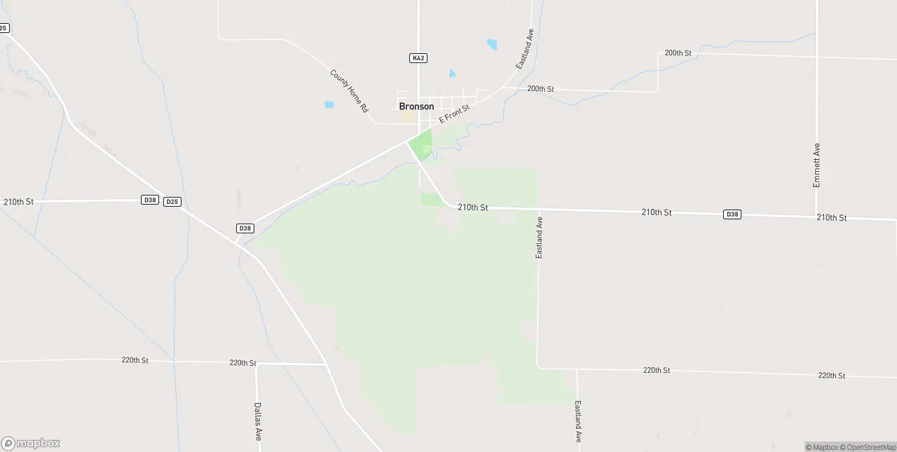 Internet in Bronson