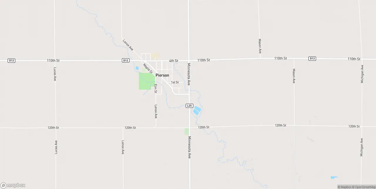 Internet in Pierson