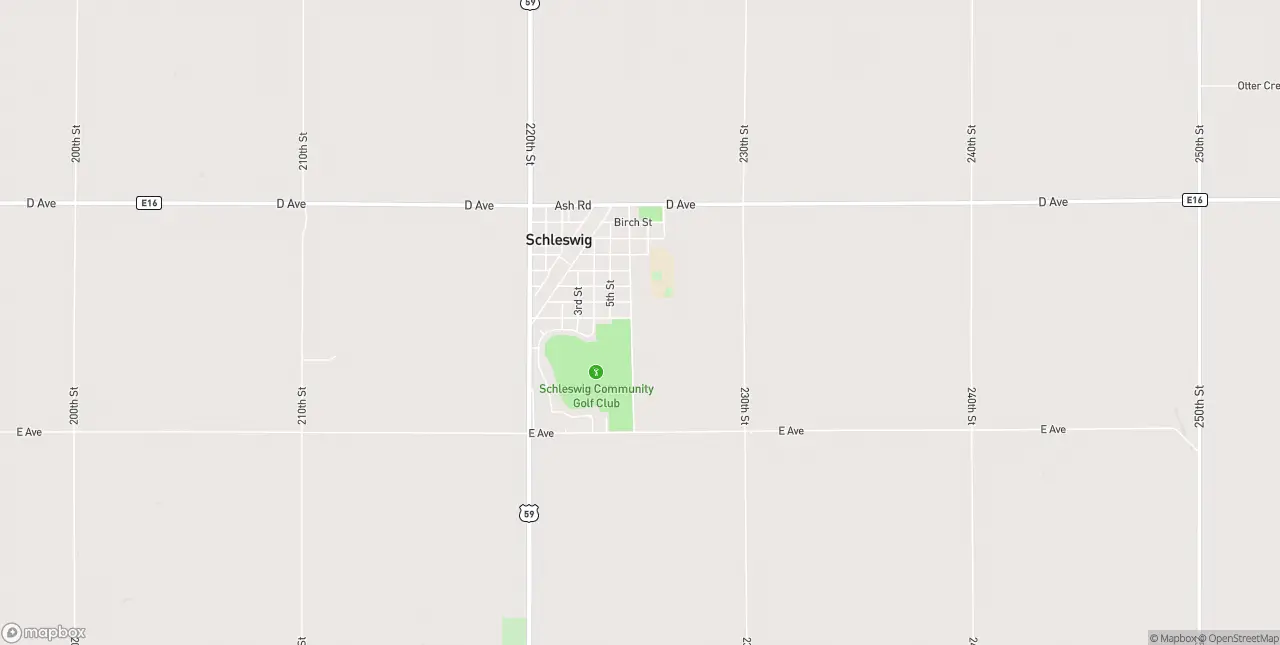 Internet in Schleswig