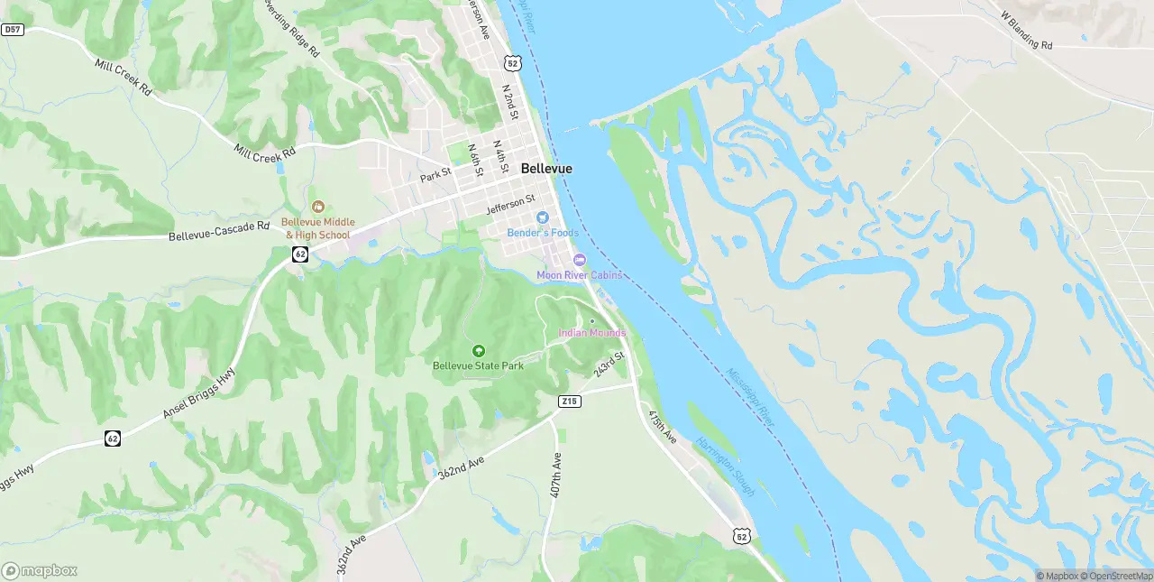 Internet in Bellevue