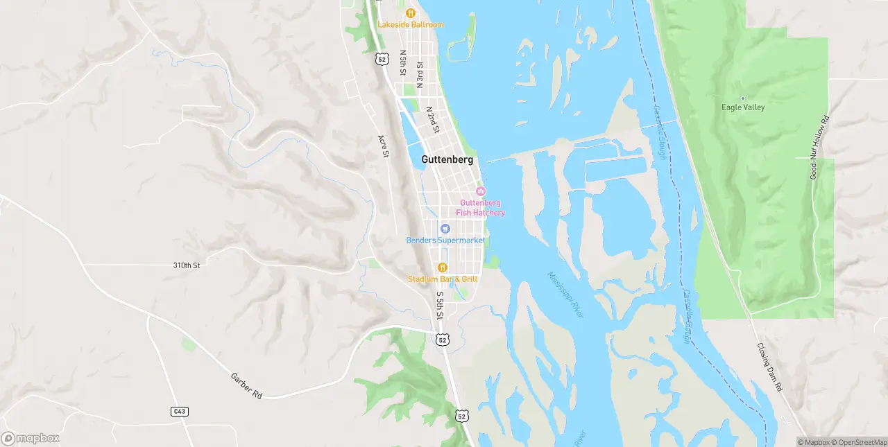 Internet in Guttenberg