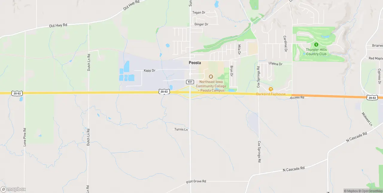 Internet in Peosta