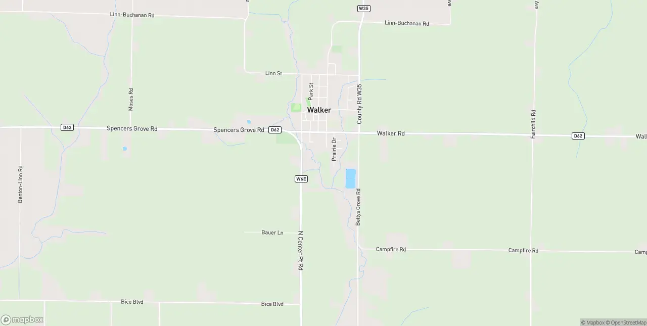 Internet in Walker