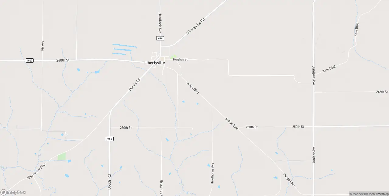 Internet in Libertyville