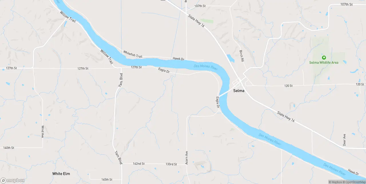 Internet in Selma
