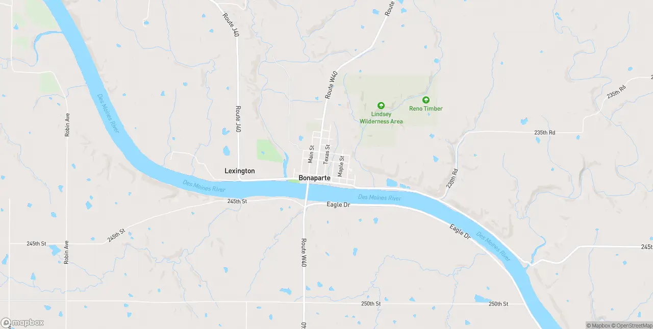 Internet in Bonaparte