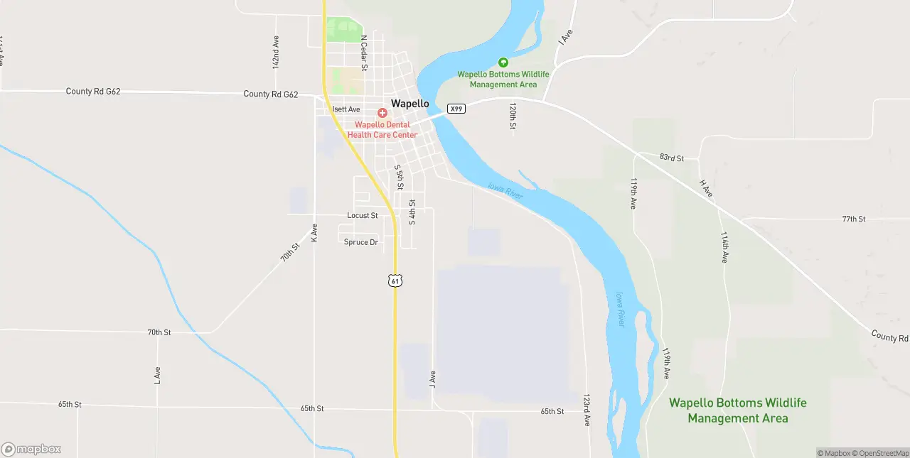 Internet in Wapello