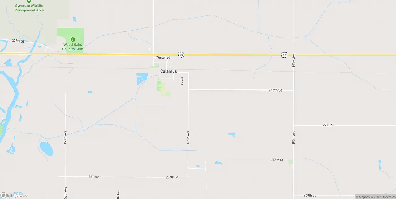 Internet in Calamus